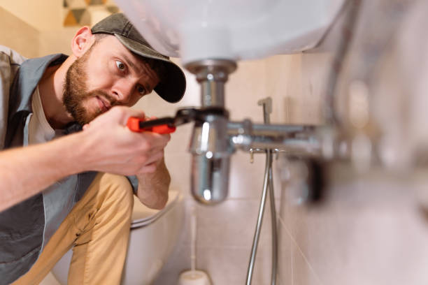 Best Plumbing Inspection Services  in Detroit Lakes, MN