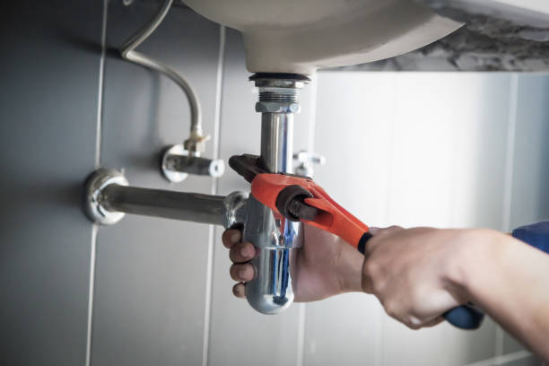 Best Local Plumber Services  in Detroit Lakes, MN