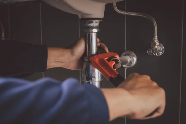 Best Local Plumber Services  in Detroit Lakes, MN